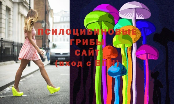 гидропоника Алзамай